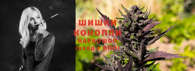 Бошки Шишки White Widow  наркота  Яхрома 